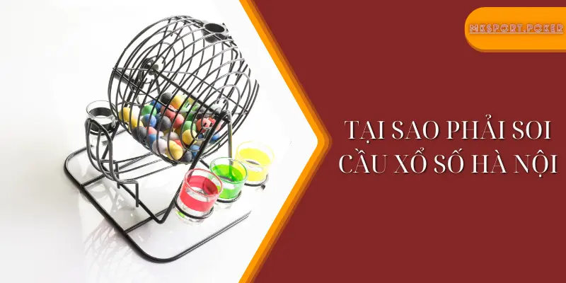 Tại sao phải soi cầu xổ số Hà Nội - Mksport