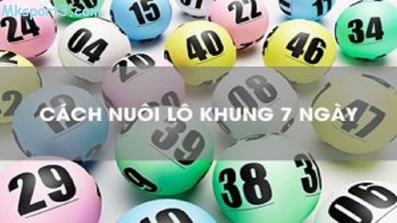 Cách vào tiền nuôi lô khung hiệu quả nhất