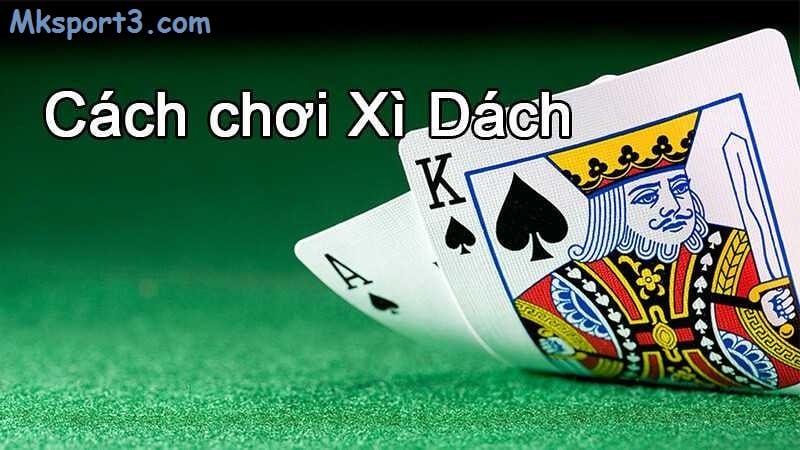 Quy cách chơi xì dách tại mk sport