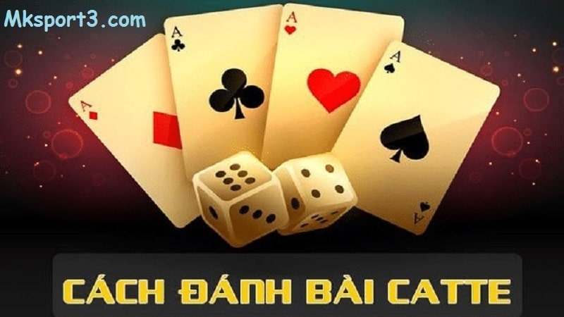 Giới thiệu về game bài catte hay nhất tại mk sport