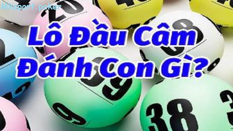 Tìm hiều về đầu lô câm tại nhà cái mksport