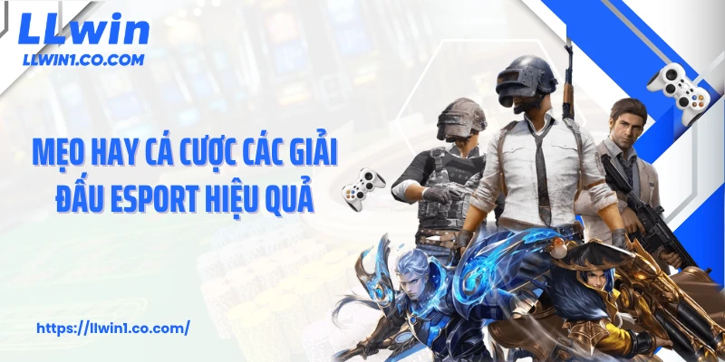 Mẹo hay cá cược các giải đấu esport hiệu quả