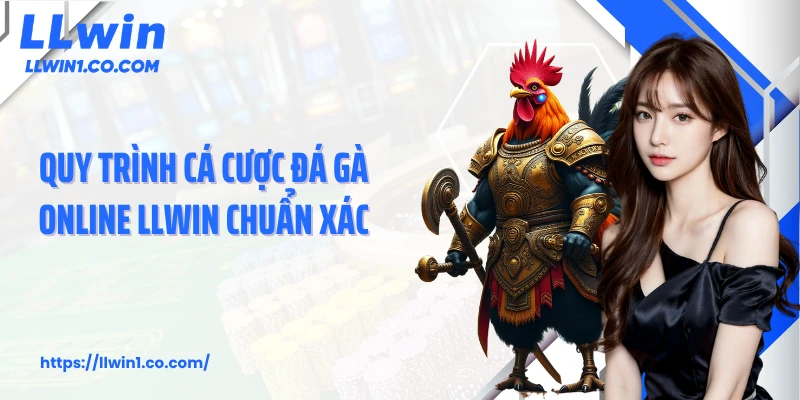 Quy trình cá cược đá gà online LLwin chuẩn xác